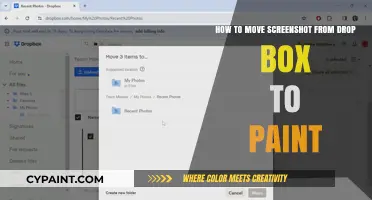Transferring Screenshots: Dropbox to Paint in Easy Steps