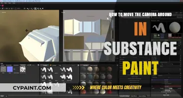 Navigating Camera Controls in Substance Paint: A Guide