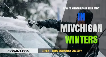 Protect Your Car's Paint from Michigan's Harsh Winters