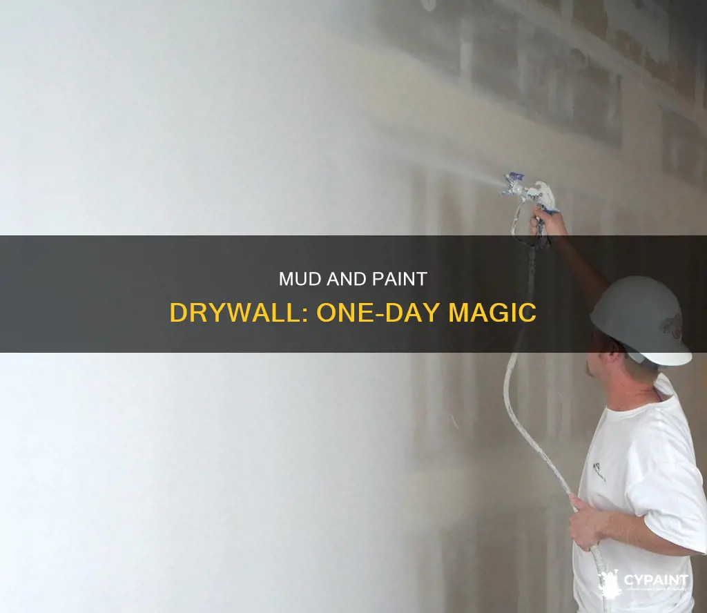 how to mud and paint drywall in same day