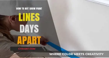 Avoid Paint Lines: Tips for Seamless Walls Days Apart