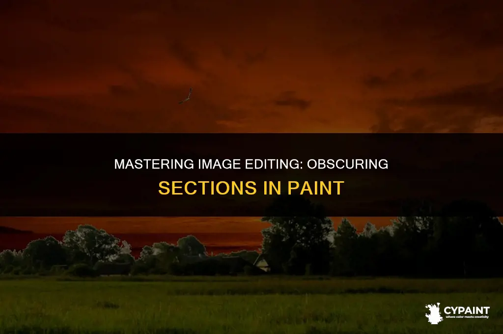 how to obscure or disguise section of image in paint