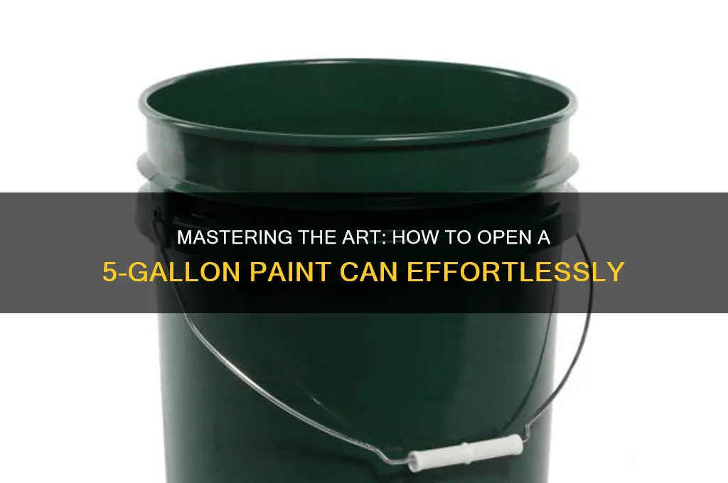 how to oen 5 gl paint cn