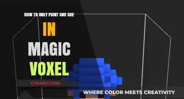 Easy Painting in Magic Voxel: One-Sided Tricks