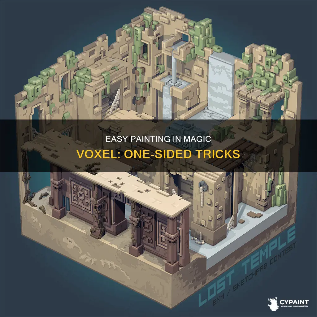 how to only paint one sde in magic voxel