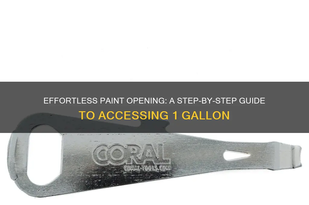 how to open a 1 gallon of paint