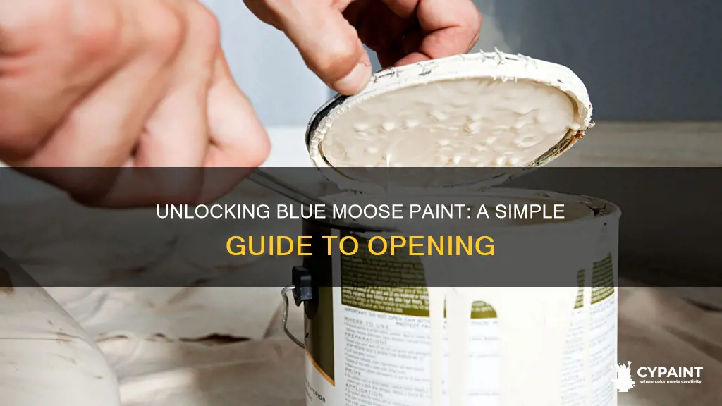 how to open a can of blue moose paint