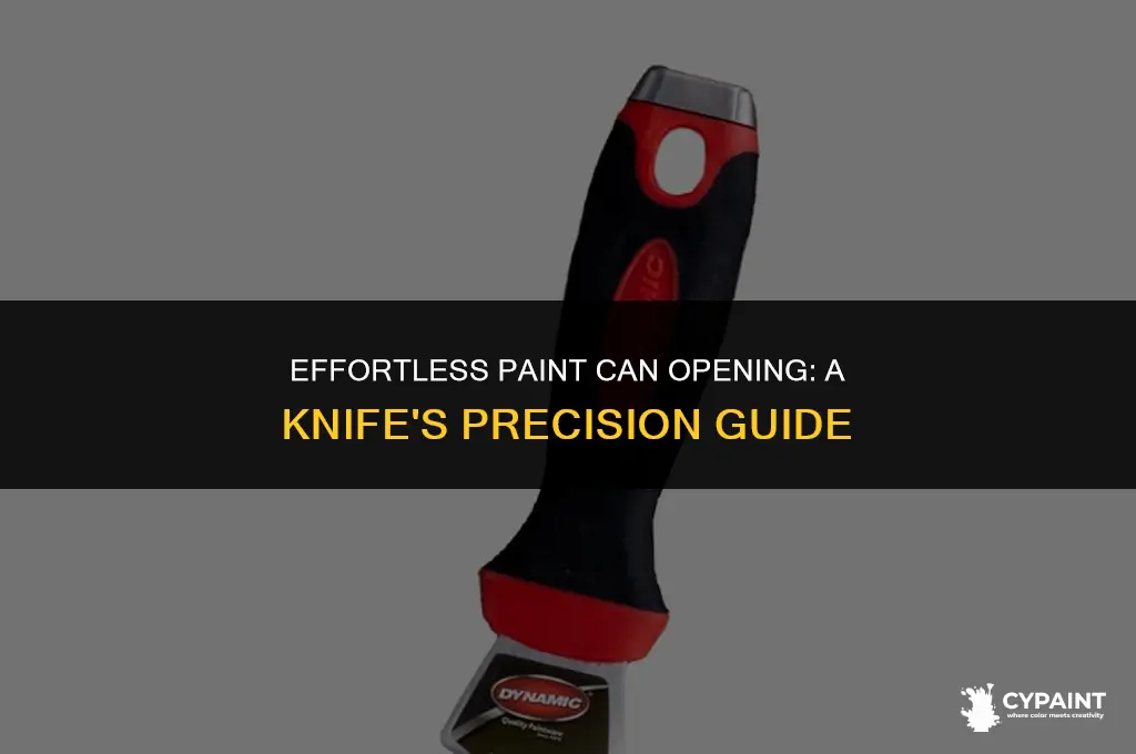 how to open a can of paint with a knife