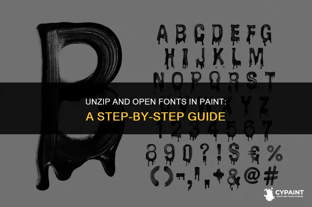 how to open a font in paint from zip file