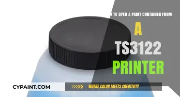 Efficiently Accessing Your TS3122 Printer's Paint Container: A Guide