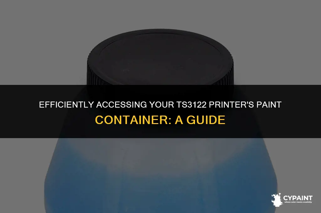 how to open a paint container from a ts3122 printer