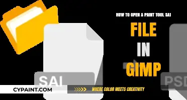Unlocking Creativity: Importing Paint Tool SAI Files into GIMP