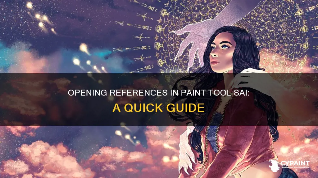 how to open a reference in paint tool sai