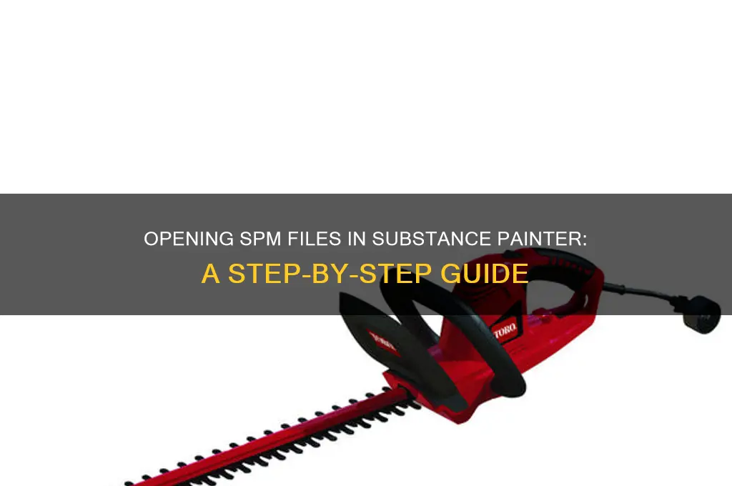 how to open a spsm file substance painter