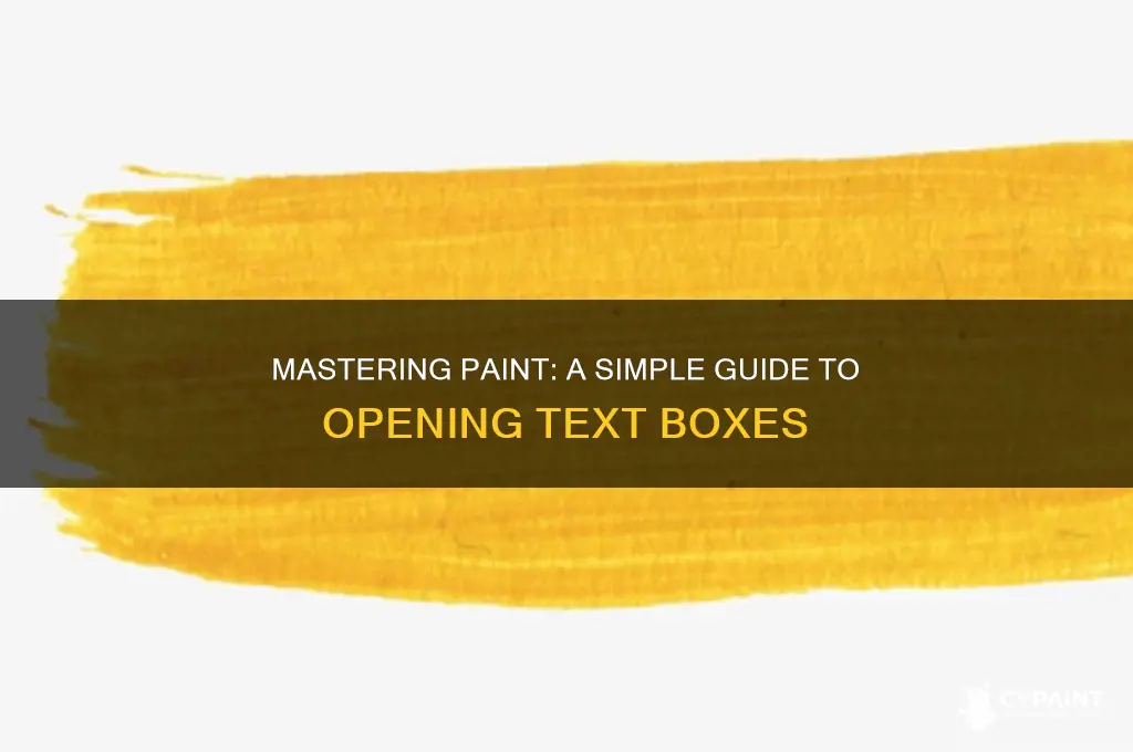 how to open a text box in paint
