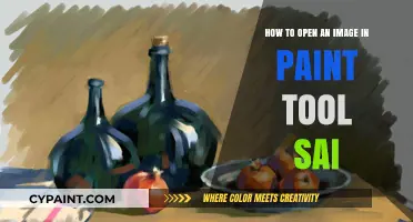 Opening Images in Paint Tool Sai: A Quick Guide