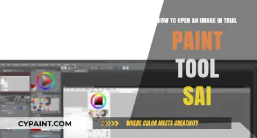 Exploring Trial Paint Tool SAI: A Beginner's Guide to Opening Images
