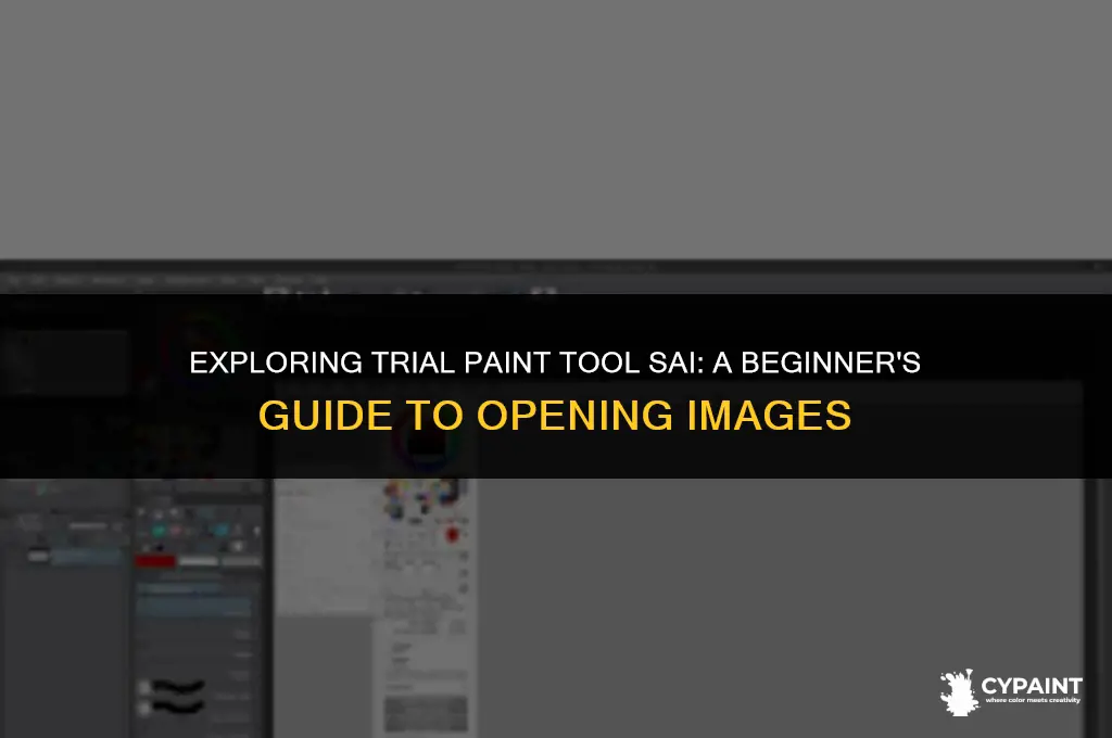 Exploring Trial Paint Tool Sai: A Beginner's Guide To Opening Images ...