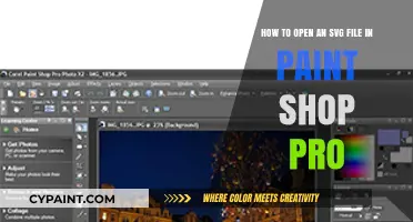 Mastering SVG Files: A Step-by-Step Guide for PaintShop Pro Users