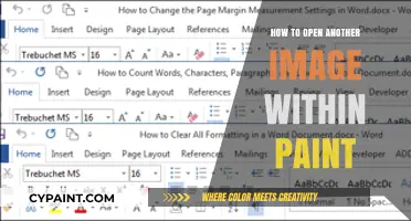 Mastering Paint: Effortlessly Open Multiple Images in One Session