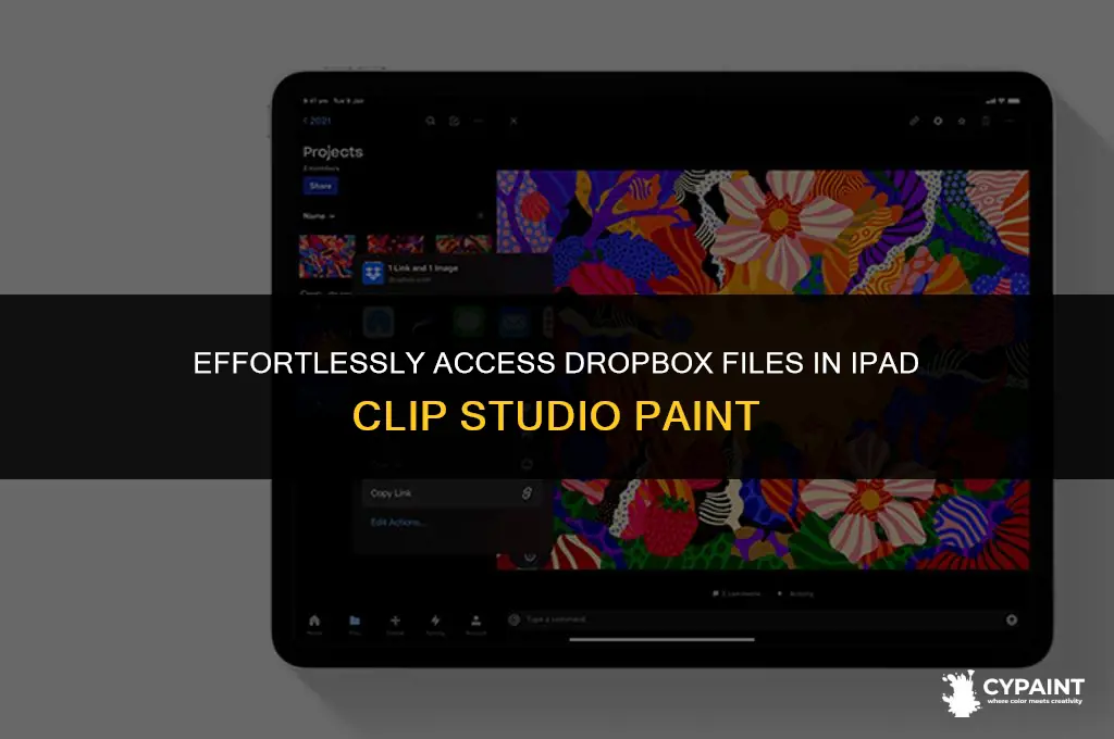 how to open dropbox file on ipad clip styudio paint
