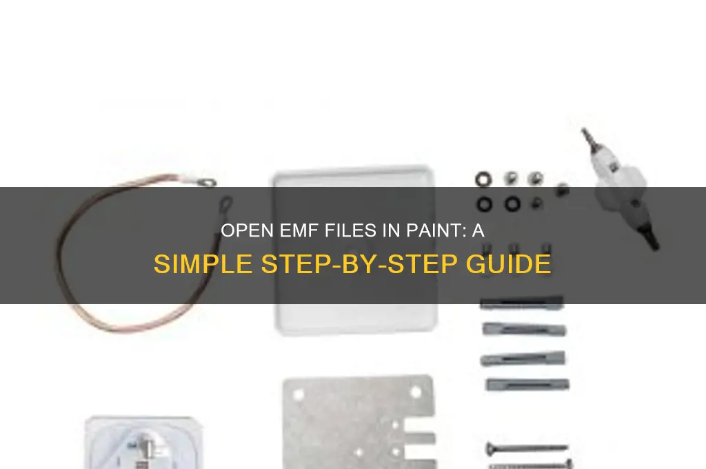 how to open emf file in paint