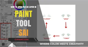 Mastering Layers: A Beginner's Guide to Opening Files in Paint Tool SAI