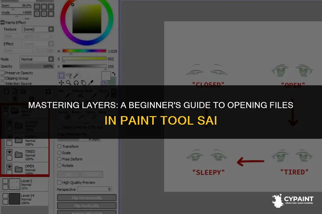 how to open file as layer in paint tool sai