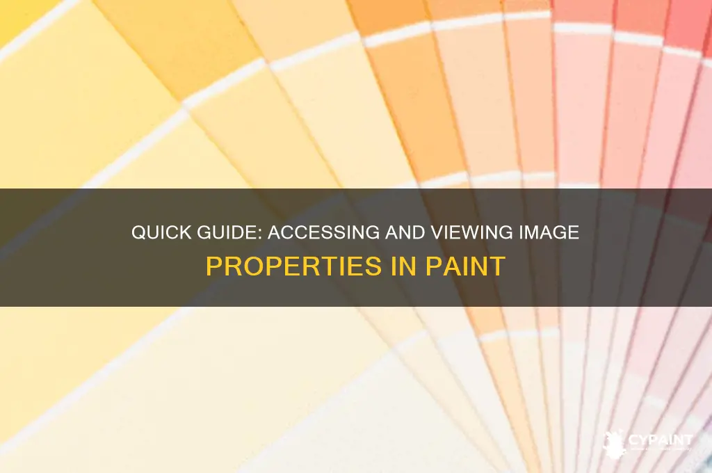 how to open image properties in paint