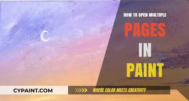 Mastering Paint: Efficiently Open and Manage Multiple Pages Simultaneously