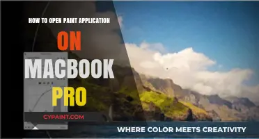 Quick Guide: Launching Paint Application on Your MacBook Pro