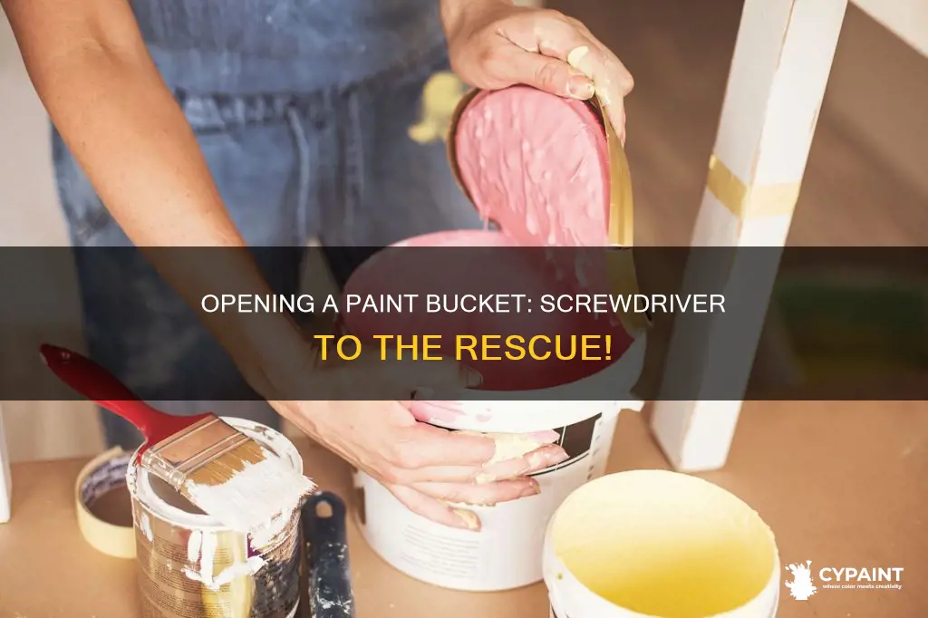 how to open paint bucket with screw drive r