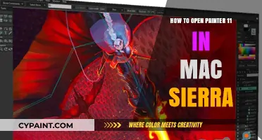 Open Painter 11 on Mac Sierra: A Quick Guide