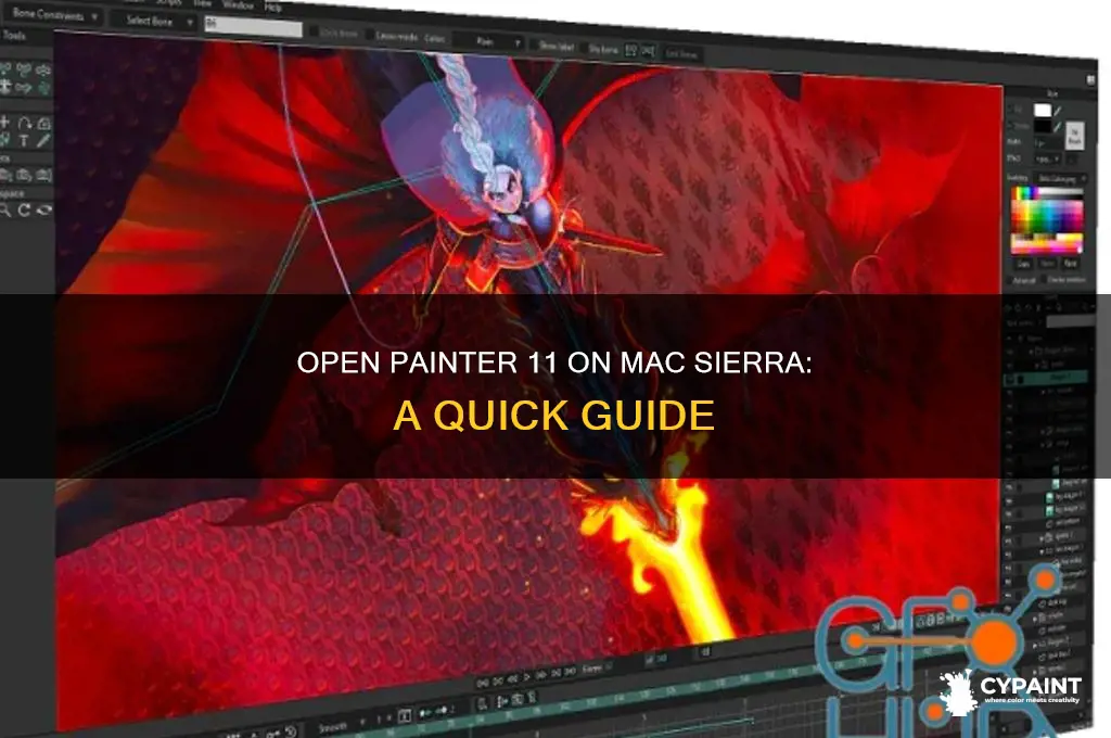 how to open painter 11 in mac sierra