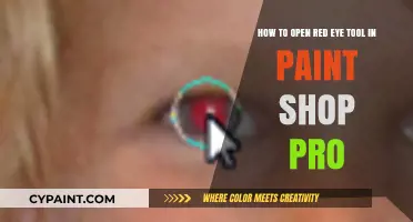 Unlocking Creativity: A Guide to Using Paint Shop Pro's Red Eye Tool
