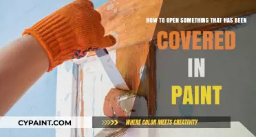 Unveiling the Past: Techniques to Safely Remove Paint from Objects