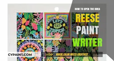Mastering the Brea Reese Paint Writer: A Step-by-Step Opening Guide