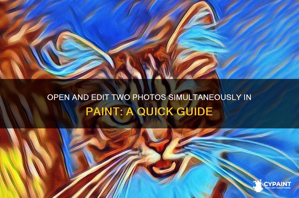 how to open two pohtos in paint