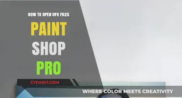 Unlocking UFO Files in PaintShop Pro: A Step-by-Step Guide