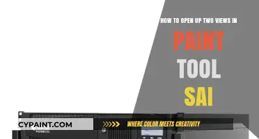 Mastering SAI: A Guide to Opening Multiple Views Effortlessly