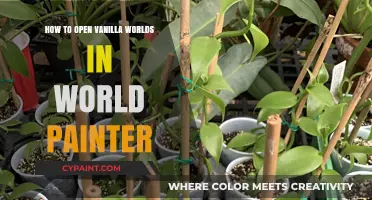 Mastering World Painter: A Guide to Opening Vanilla Worlds
