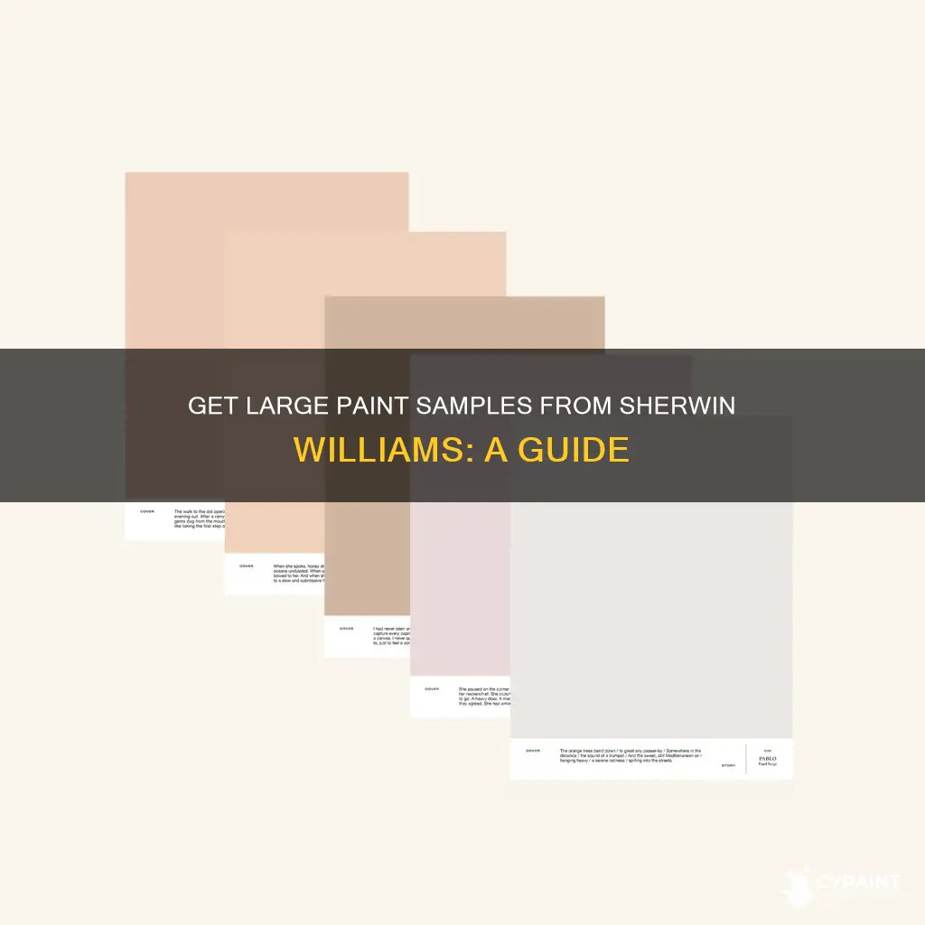 how to order large paint samples from sherwin williams