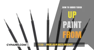 How to Order Touch Up Paint from Manufacturers or Dealers