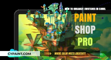 Organizing Swatches in Corel Paint Shop Pro: A Step-by-Step Guide