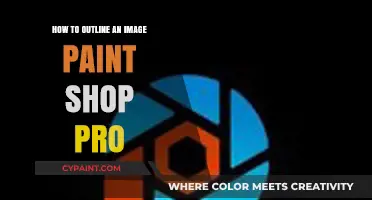 Master Image Outlining in PaintShop Pro: Step-by-Step Guide