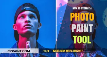 Master Photo Overlay Techniques with Paint Tool: A Step-by-Step Guide