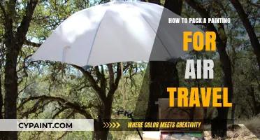 Safely Packing Your Painting for Air Travel: Expert Tips and Tricks