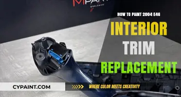 Revamp Your 2004 E46 Interior Trim with DIY Painting Tips