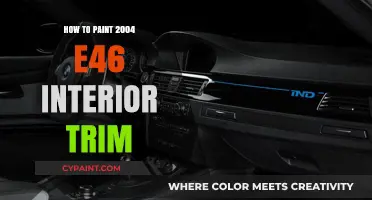 Revamp Your 2004 E46 Interior Trim: A DIY Painting Guide