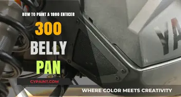 Restoring a 1980 Enticer: Painting the Belly Pan